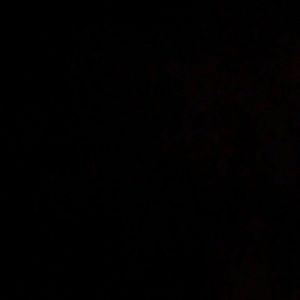 Meet your Posher, Hudson